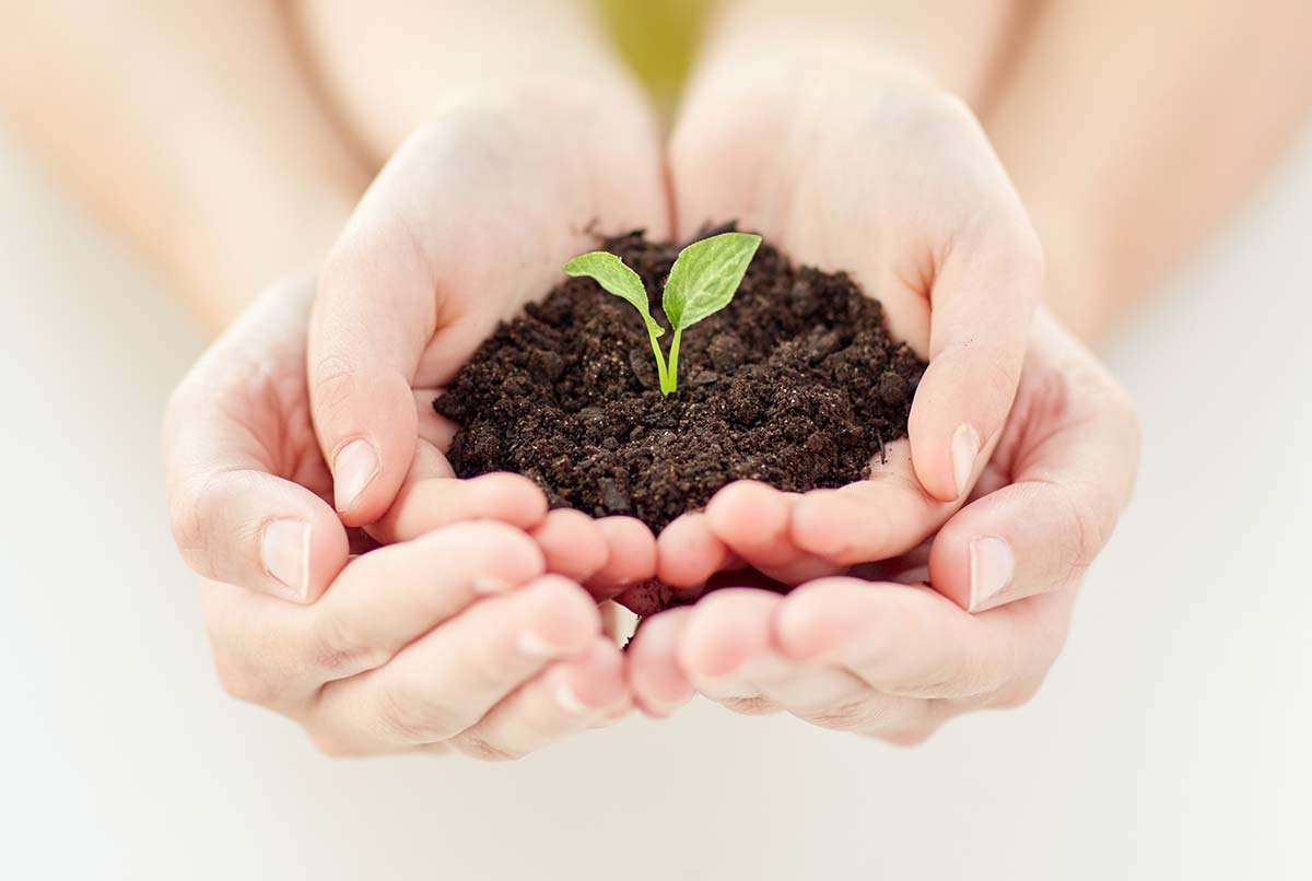 NBS Intellectual – intellectual property consultants Malaysia
